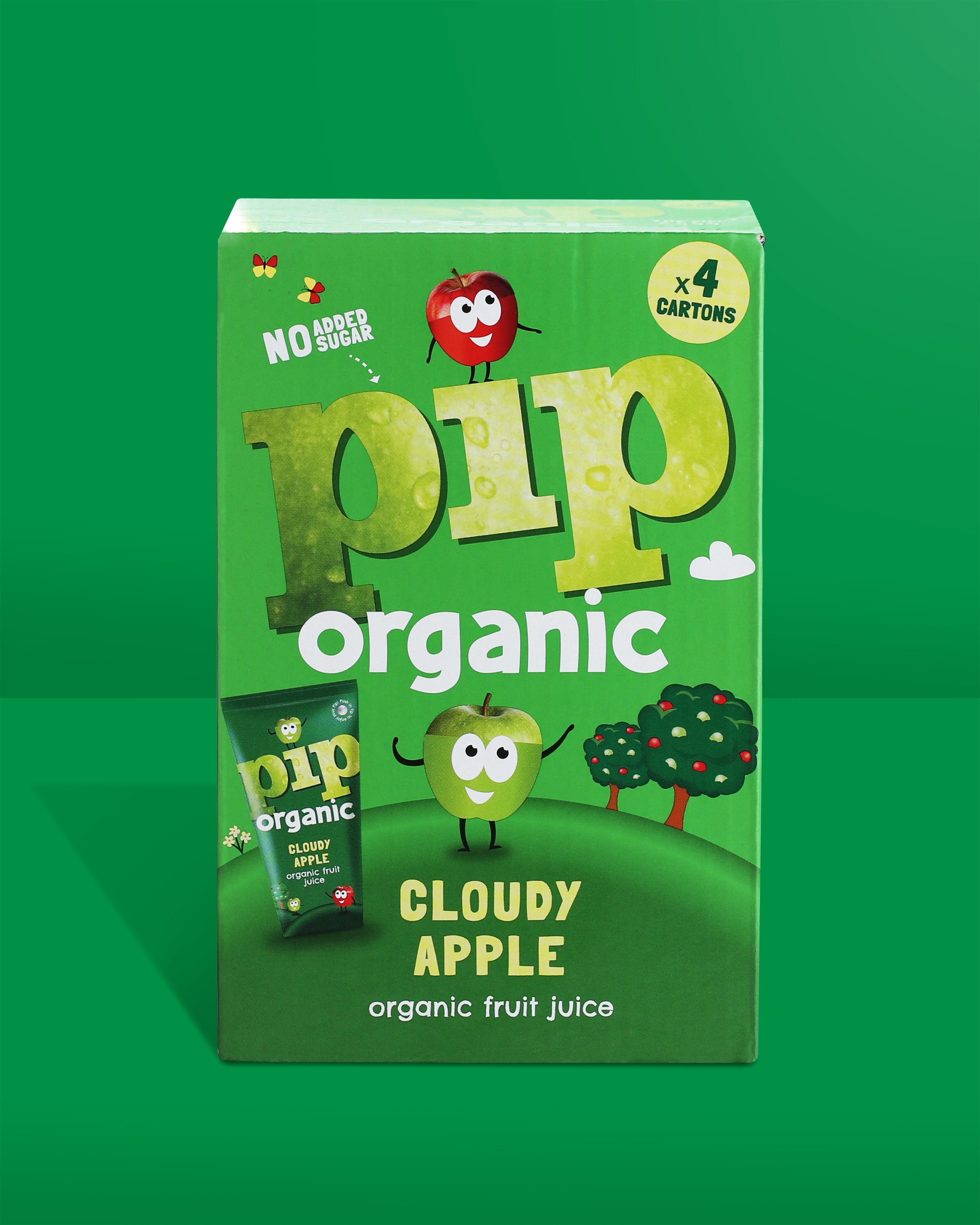 Cloudy Apple Fruit Juice 180ml