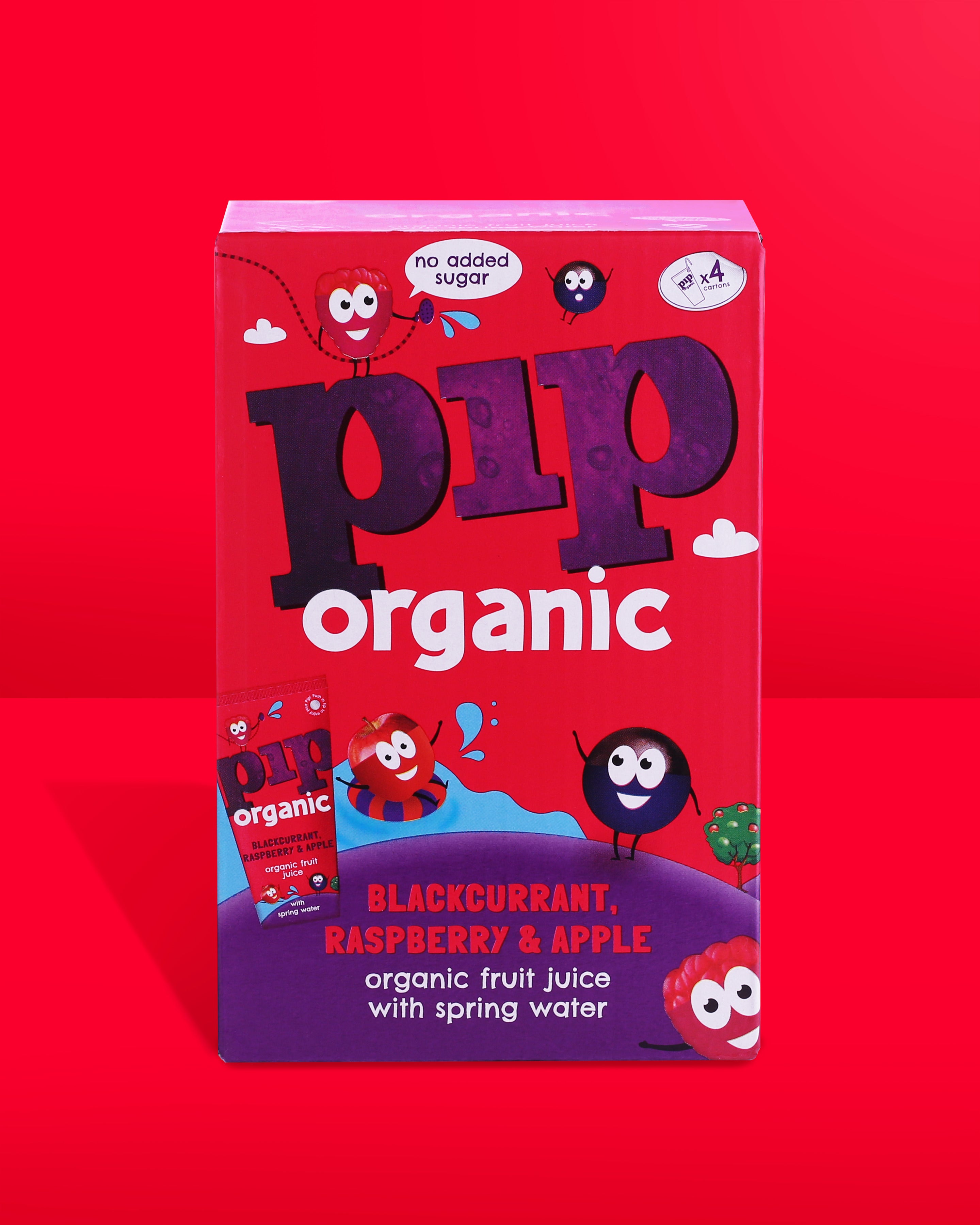 Blackcurrant, Raspberry & Apple Fruit Juice with Spring Water 180ml